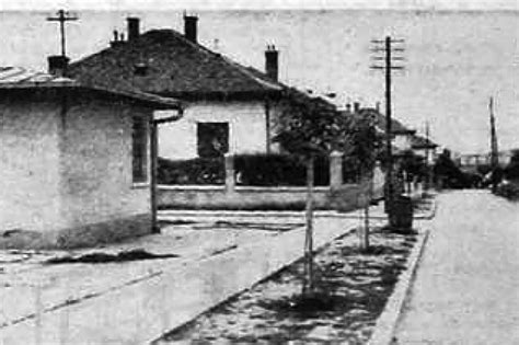 Činovnička kolonija (2. deo) – od zelenih ulica do izgubljenog ...