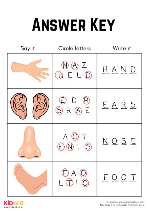 4 Letters Body Parts Spelling Circle & Write Worksheet for Grade 1 - Kidpid