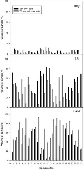 The Impact of Salinization and Wind Erosion on the Texture of Surface ...