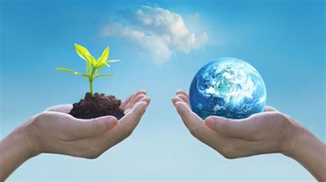 Programme SVT Seconde 的图像结果