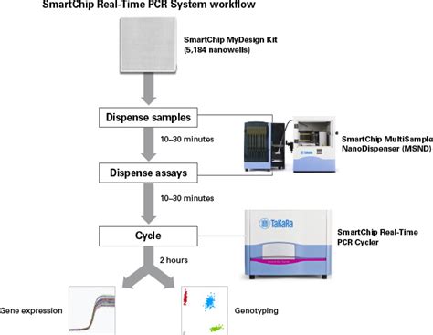 Automate Real-Time PCR Machine 的图像结果
