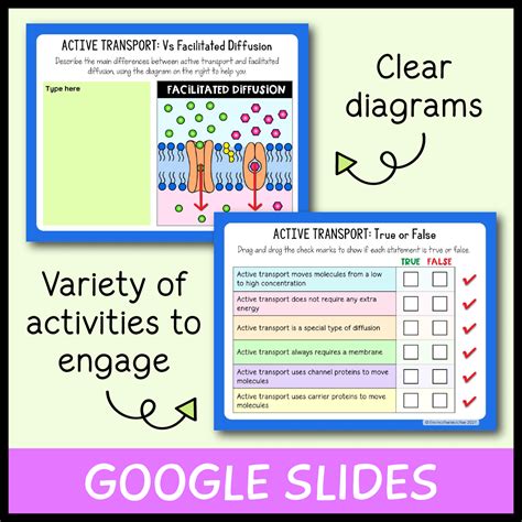 Active Transport Lesson Bundle - Emmatheteachie Resources