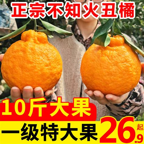 橘子娱乐空间 - 百搜视频