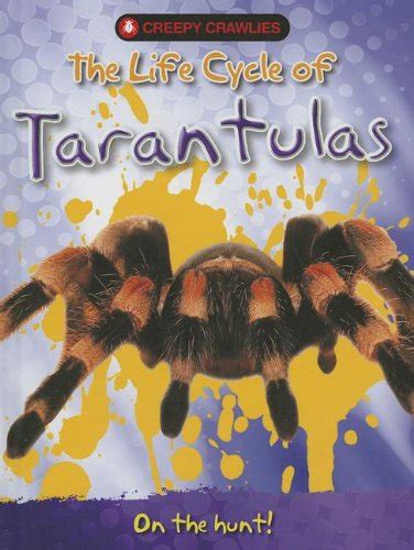 The Life Cycle of Tarantulas (Creepy Crawlies) : Twist, Clint: Amazon ...