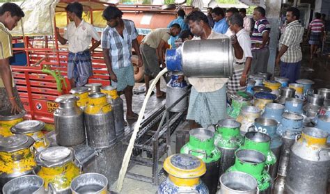 ஆவின் பால் கொள்முதல், விநியோக விவகாரம்: முதல்வர் தீர்வு காண தினகரன் ...