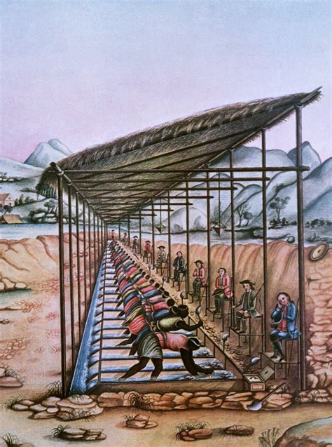 What is the Afro-Brazilian martial art known as capoeira?