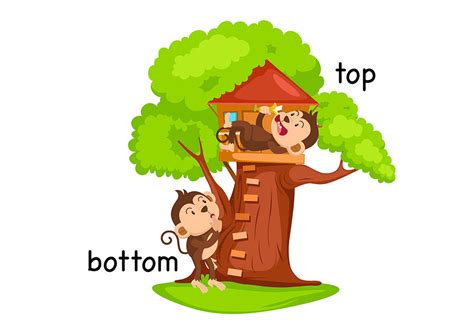 Image result for Lesson Library Bottom