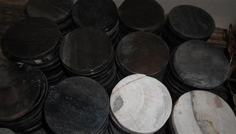 DUMA FOSSIL PETRIFIED WOOD INDONESIA (2026) All You Need to Know BEFORE ...