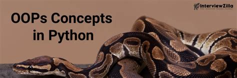 Image result for Python Oops Concpet