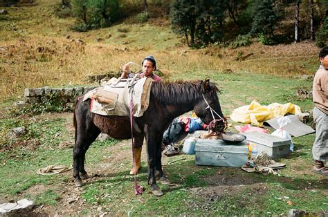 Image result for String Farm