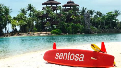 Singapore's best-kept secrets explored through these extraordinary ...