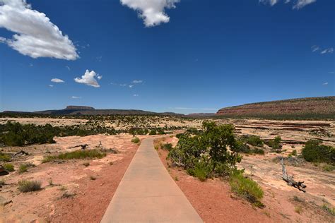 Loop Trail 的图像结果