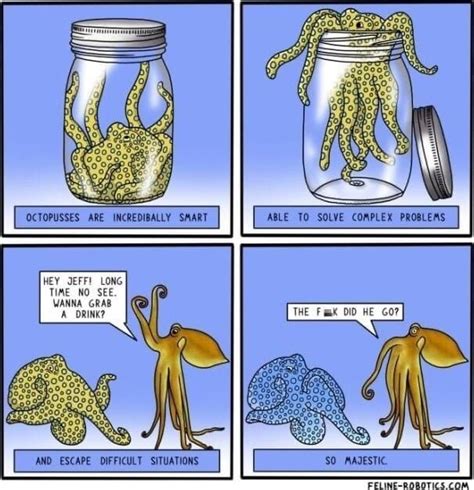 Image result for Octopus Solves Problem