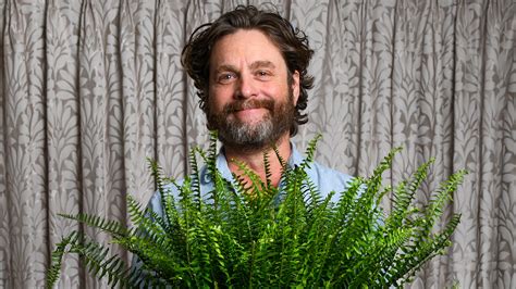 Zach Galifianakis Between 2 Ferns at Pearl Brandon blog