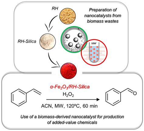 Exploiting the Potential of Biosilica from Rice Husk as Porous Support ...