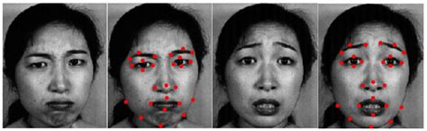 Facial Expression Recognition: A Survey