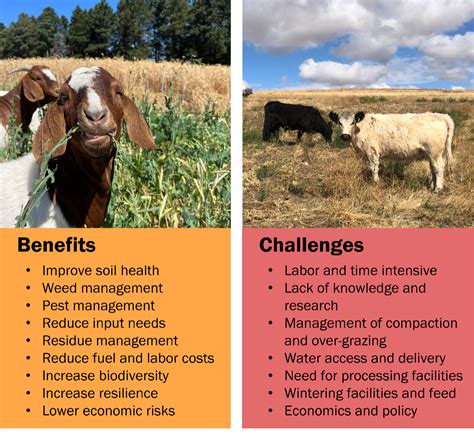 Mixed Crop And Livestock Farming Characteristics at Joyce Hartmann blog