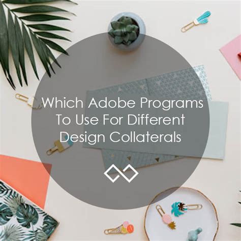Adobe Programs 的图像结果