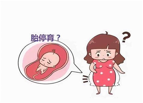 停胎的症状和表现有哪些 应该如何避免-资讯-妈妈宝宝网