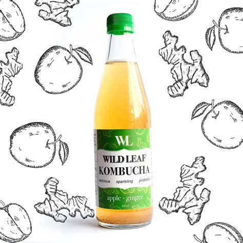 Wild Leaf Brew | Delicious low sugar kombucha