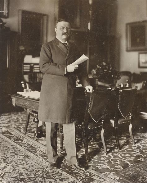 Teddy Roosevelt 的图像结果