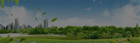 Environmental Impact Assessment