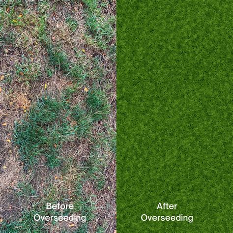 What Is Overseeding