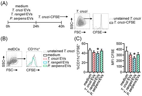 Trypanosomatid Extracellular Vesicles as Potential Immunogens for ...
