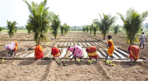 Here's One Policy Path That Makes it Viable to Promise a Legal ...