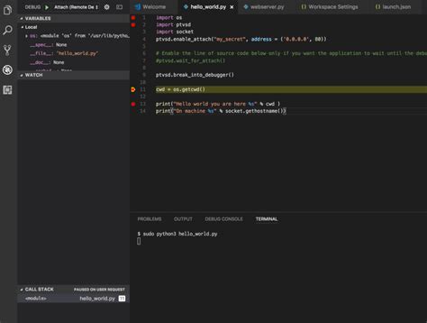 Image result for Debugging Python Code in Vscode
