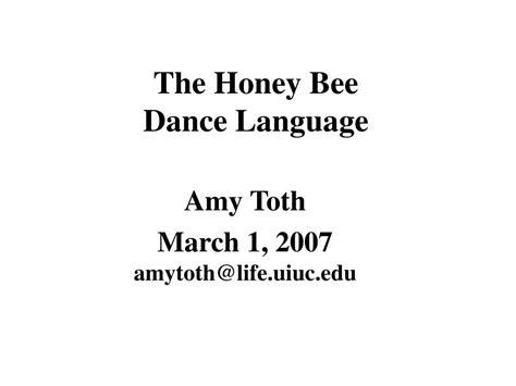 Image result for Bee Dance Language