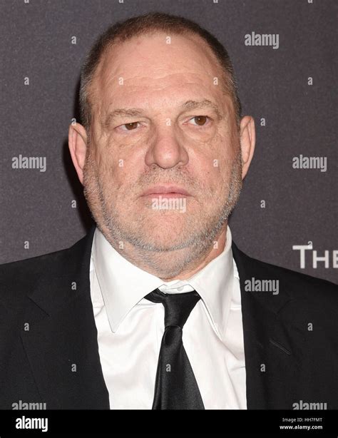 HARVEY WEINSTEIN US film producer in January 2017. Photo Jeffrey Mayer Stock Photo - Alamy