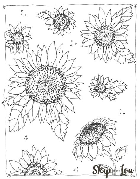 Sunflower Printable Coloring Pages - Educational Printable Activities