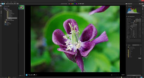 Image result for Corel AfterShot Tutorial