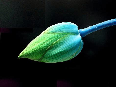 Image result for Encapsulation JavaScript