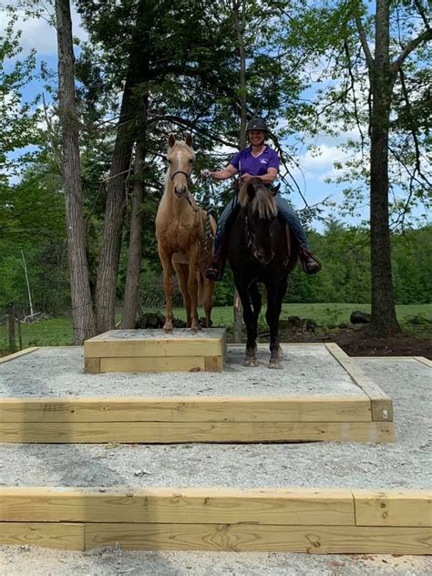 Gaited Horses of NE Mountain Trail, 11 Stone Ln Temple, NH, United ...