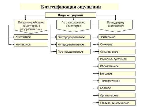 ПОЗНАВАТЕЛЬНЫЕ ПРОЦЕССЫ ЧЕЛОВЕКА Ощущение Виды ощущений Ощущения