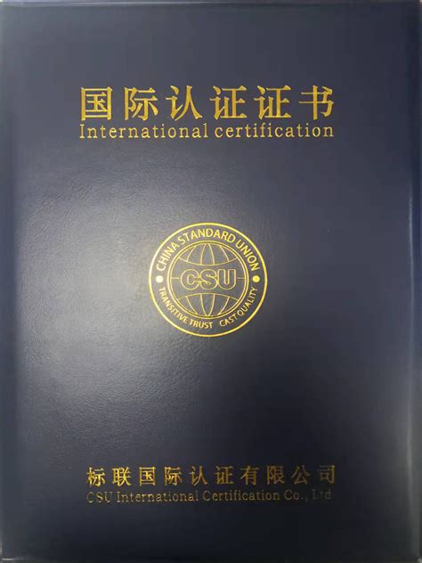 ISO9001国际认证证书_济南鼎舜医疗器械有限公司