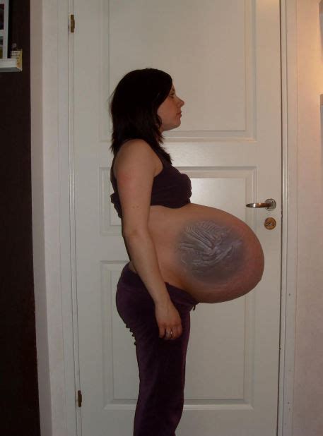 Image result for Alien Predator Pregnant