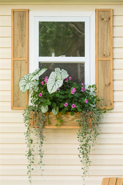 Image result for Making.window.shutters