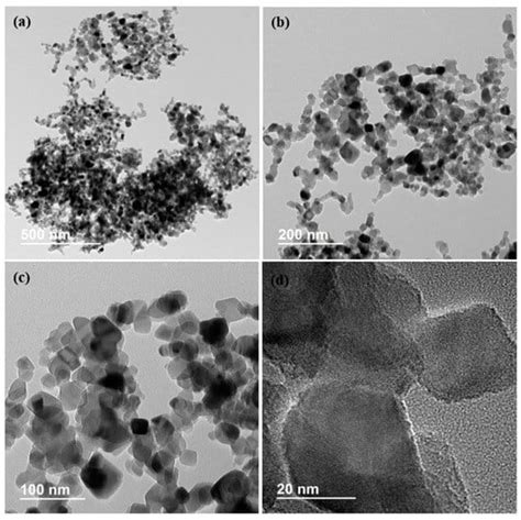 Titanium Nanostructures: Advancing Photocatalysis in Complex Systems