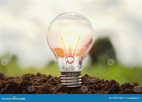 Light Bulb Growing in Soil Concept Idea Power Energy Stock Image ...