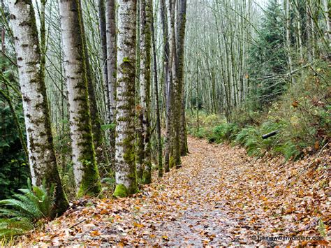 Hiking With My Brother | Lord Hill Regional Park | The Seattle Times