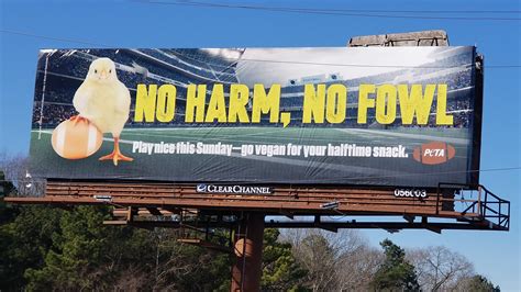 'No Harm, No Fowl' Pro-Chicken Super Bowl Billboard Raised | PETA