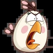 Image result for One Example of Microevolution