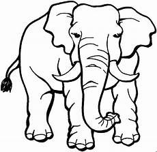 malvorlagen tiere gratis ausmalbilder tiere ausmalbilder coloring pages malvorlagen tiere gratis ausmalbilder tiere ausmalbilder coloring pages