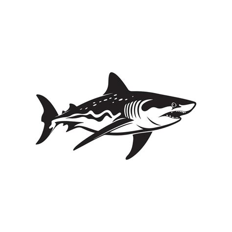 Shark Vector Logo CD-R File 的图像结果