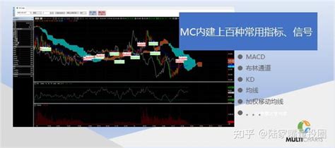 MultiCharts Net 的图像结果