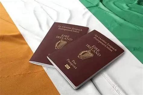 爱尔兰投资移民项目手册-和中移民出国官方网站