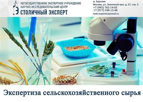 Сельскохозяйственная экспертиза включает в себя анализ всех возможных ...